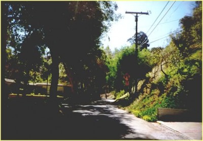 The road leading up to the house